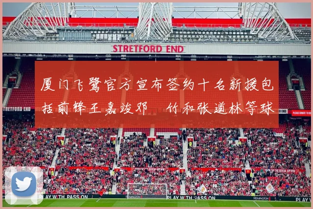 厦门飞鹭官方宣布签约十名新援包括前锋王嘉竣邓棽竹和张道林等球员