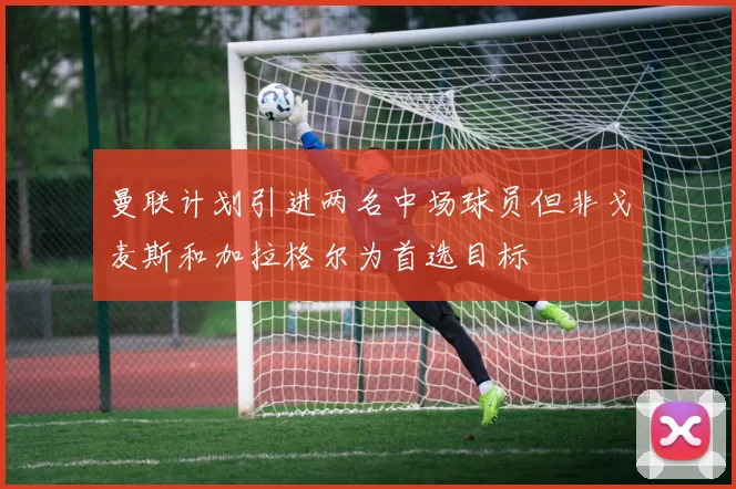 曼联计划引进两名中场球员但非戈麦斯和加拉格尔为首选目标