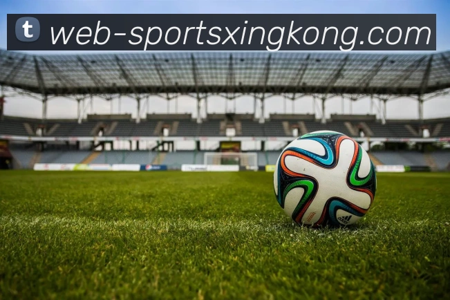 星空体育平台生态图