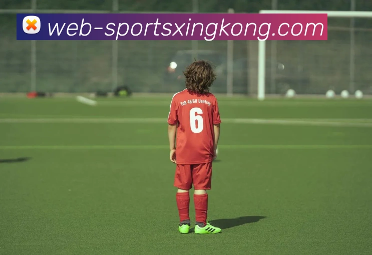 星空体育APP 封面图